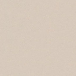 Stoffmuster Siena Microfaser 08 Beige
